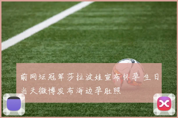 前网坛冠军莎拉波娃宣布怀孕 生日当天微博发布海边孕肚照