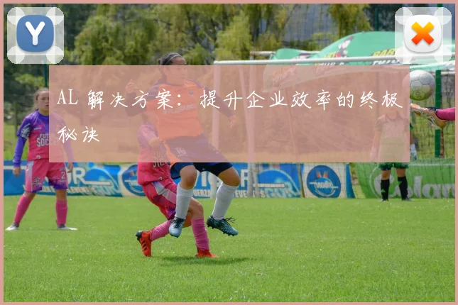 AL 解决方案：提升企业效率的终极秘诀