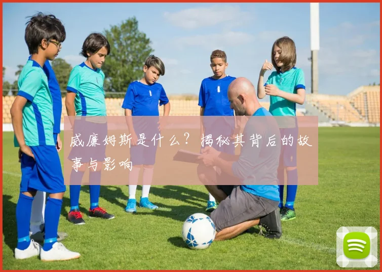 威廉姆斯是什么？揭秘其背后的故事与影响