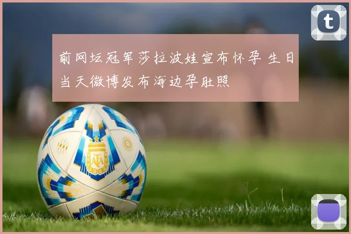 前网坛冠军莎拉波娃宣布怀孕 生日当天微博发布海边孕肚照