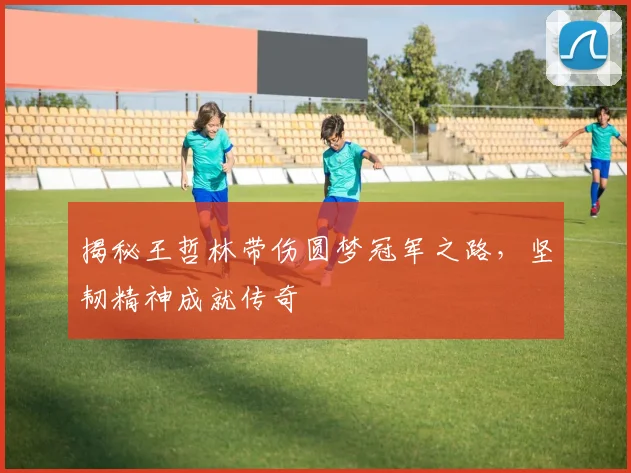揭秘王哲林带伤圆梦冠军之路，坚韧精神成就传奇