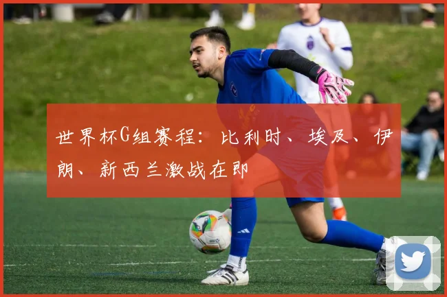 世界杯G组赛程：比利时、埃及、伊朗、新西兰激战在即