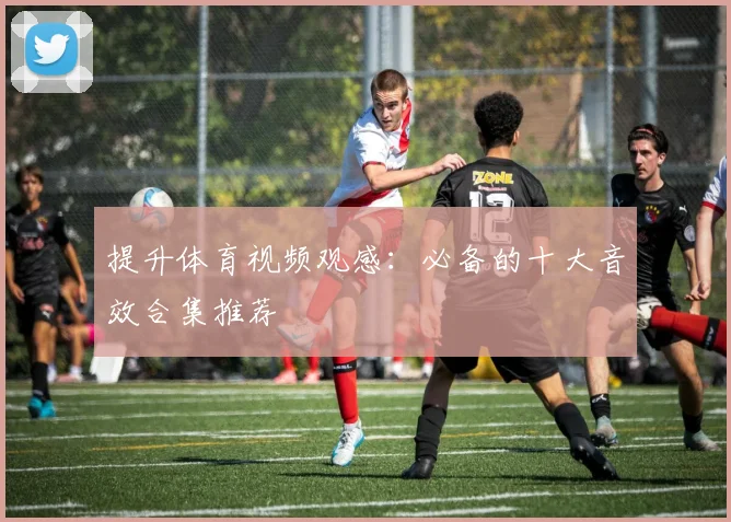 提升体育视频观感：必备的十大音效合集推荐